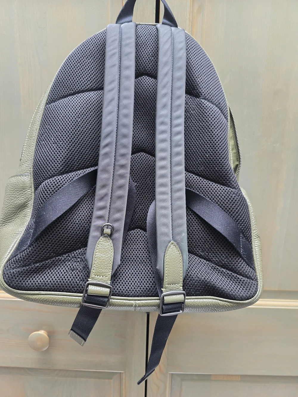 Coach Pebbled Leather Backpack in Olive Green
